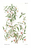  no thumbnail available