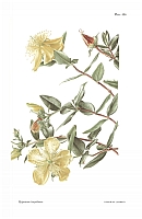  no thumbnail available