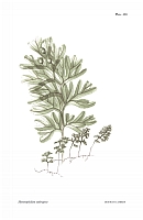  no thumbnail available