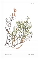  no thumbnail available