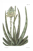  no thumbnail available