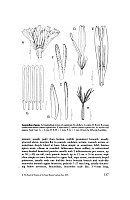  no thumbnail available