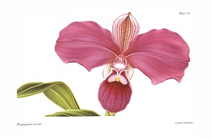  no thumbnail available