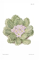  no thumbnail available