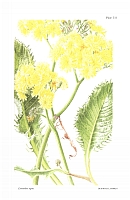  no thumbnail available