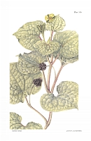  no thumbnail available