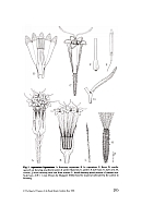  no thumbnail available