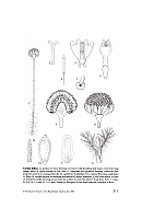  no thumbnail available