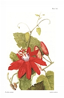  no thumbnail available