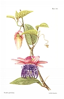  no thumbnail available