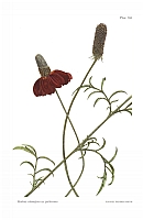  no thumbnail available