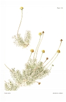  no thumbnail available