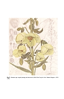  no thumbnail available