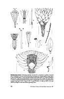  no thumbnail available