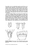  no thumbnail available