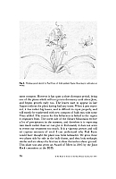  no thumbnail available