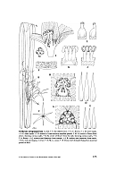  no thumbnail available