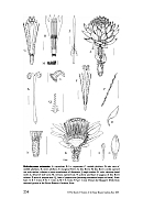  no thumbnail available