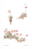  no thumbnail available