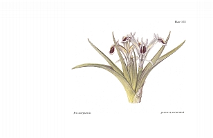  no thumbnail available