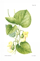  no thumbnail available