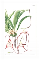  no thumbnail available