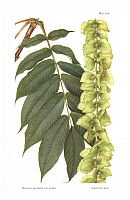  no thumbnail available