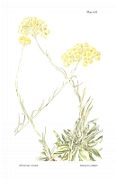  no thumbnail available