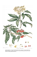  no thumbnail available