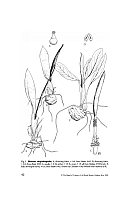  no thumbnail available