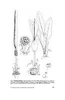  no thumbnail available