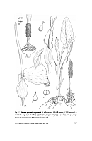  no thumbnail available