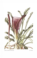  no thumbnail available