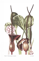  no thumbnail available