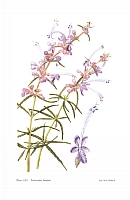  no thumbnail available