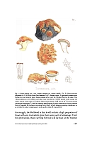  no thumbnail available