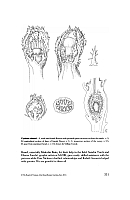  no thumbnail available