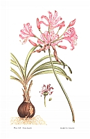  no thumbnail available