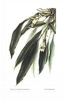  no thumbnail available