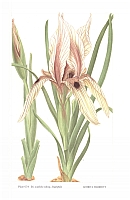  no thumbnail available