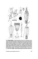  no thumbnail available