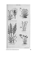  no thumbnail available