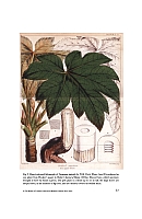  no thumbnail available