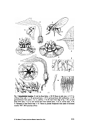  no thumbnail available