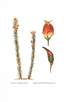  no thumbnail available