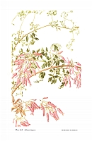  no thumbnail available