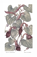  no thumbnail available