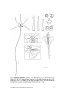  no thumbnail available