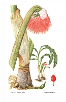  no thumbnail available