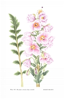  no thumbnail available